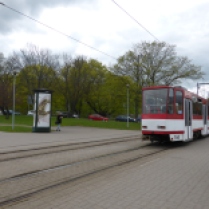 The tram at my local stop